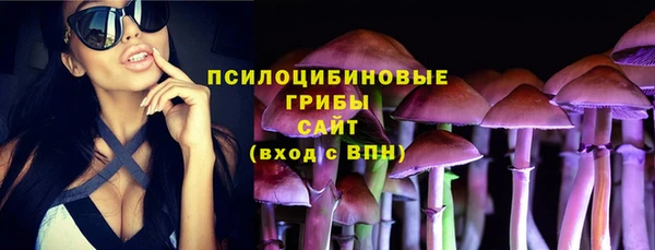 кокс Осташков